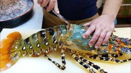 image of lobster