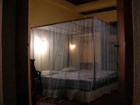 image of mosquito_net