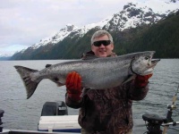 image of coho