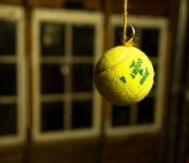 image of tennis_ball