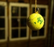 image of tennis_ball #0