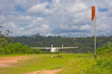 image of wing