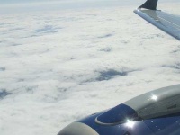image of wing