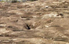 image of texture