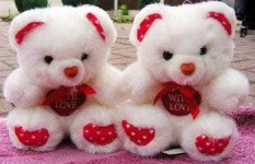 image of teddy_bear
