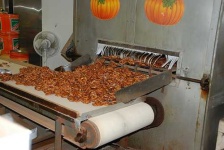 image of pretzel