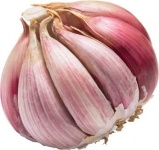 image of garlic #10