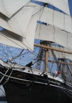 image of pirate_ship #172