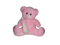 image of teddy_bear