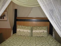 image of mosquito_net