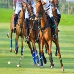 image of sport