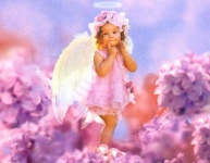image of angel
