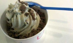 image of frozen_yogurt #2