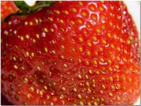 image of strawberry #3