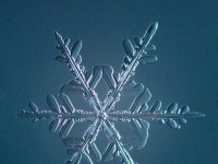 image of snowflake