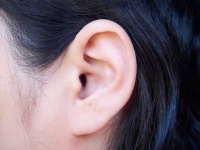image of ear