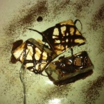 image of food