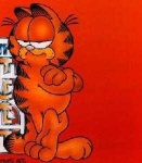 image of garfield