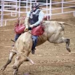 image of bull_riding #18