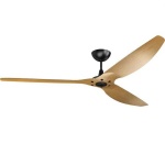 image of fan