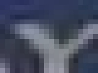 image of char