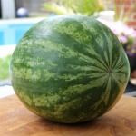 image of watermelon #32