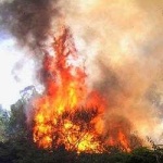 image of wildfire