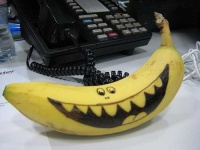 image of banana