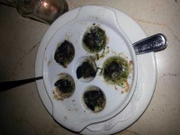 image of food