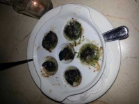 image of escargots #13