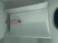 image of bottle_25cl
