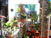 image of indoor