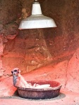 image of spotlight