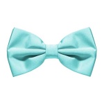 image of bowtie