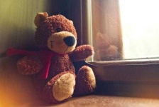 image of teddy_bear