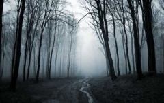 image of foggy