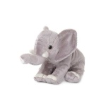 image of animal