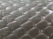 image of texture