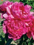 image of texture
