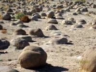 image of texture