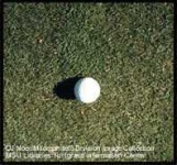 image of golf_ball