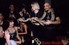image of night_snake