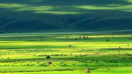 image of grassland