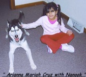 image of eskimo_dog