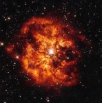 image of star