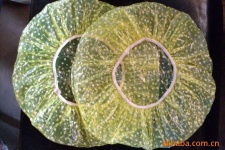 image of shower_cap