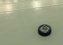 image of puck