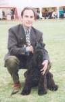 image of kerry_blue_terrier