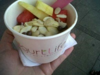 image of food