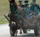 image of horse_cart